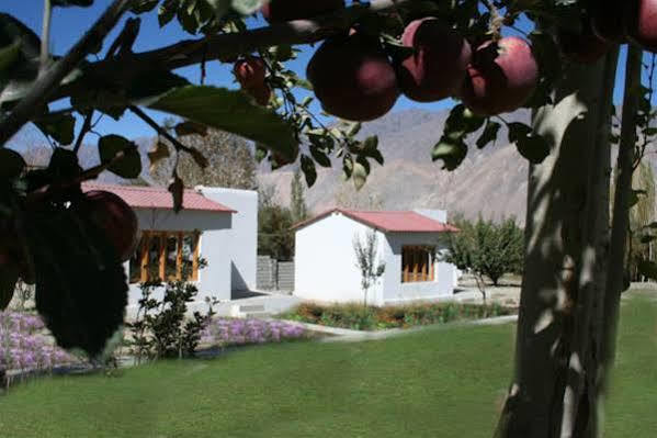 Himalayan Eco Resort Hundar Esterno foto