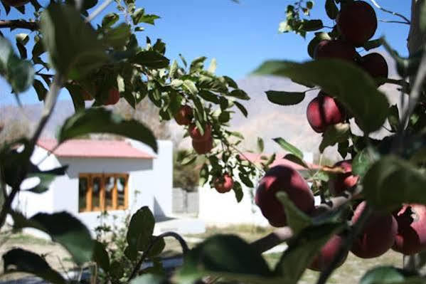 Himalayan Eco Resort Hundar Esterno foto