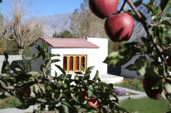 Himalayan Eco Resort Hundar Esterno foto